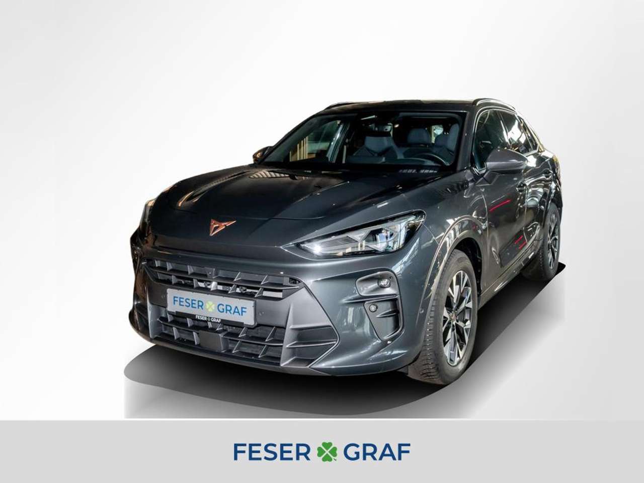 Cupra Terramar 2025