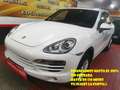 Porsche Cayenne Diesel 245 Aut. Bianco - thumbnail 1