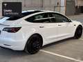 Tesla Model 3 Performance Bianco - thumbnail 8