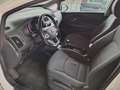 Kia Rio Rio III 2011 5p 1.2 cvvt Cool E6 Bianco - thumbnail 6