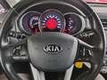 Kia Rio Rio III 2011 5p 1.2 cvvt Cool E6 Bianco - thumbnail 15