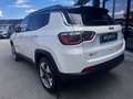 Jeep Compass Compass 1.4 MultiAir 170 CV aut. 4WD Limited Bianco - thumbnail 6