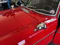 MG MGB Mg Bgt Rot - thumbnail 9