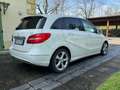 Mercedes-Benz B 180 cdi be Premium Bianco - thumbnail 2