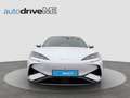 BYD Sealion 7 EV Excellence AWD Weiß - thumbnail 2