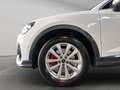 Audi Q3 Sportback RFK SHZ 40 TFSI quattro Grau - thumbnail 21