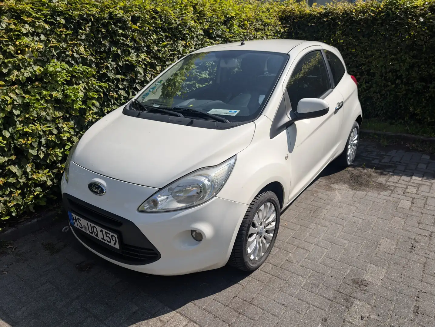 Ford Ka/Ka+ Ka 1.3 TDCi Trend mit Motorschaden - 1