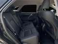 Lexus RX 450h Business Negro - thumbnail 21