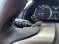 Lexus RX 450h Business Negro - thumbnail 36