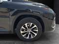 Lexus RX 450h Business Negro - thumbnail 10