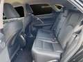 Lexus RX 450h Business Negro - thumbnail 22