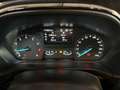Ford Fiesta 5p-1.1 Plus 85cv-GPL-NEOPATENTATI Grau - thumbnail 9
