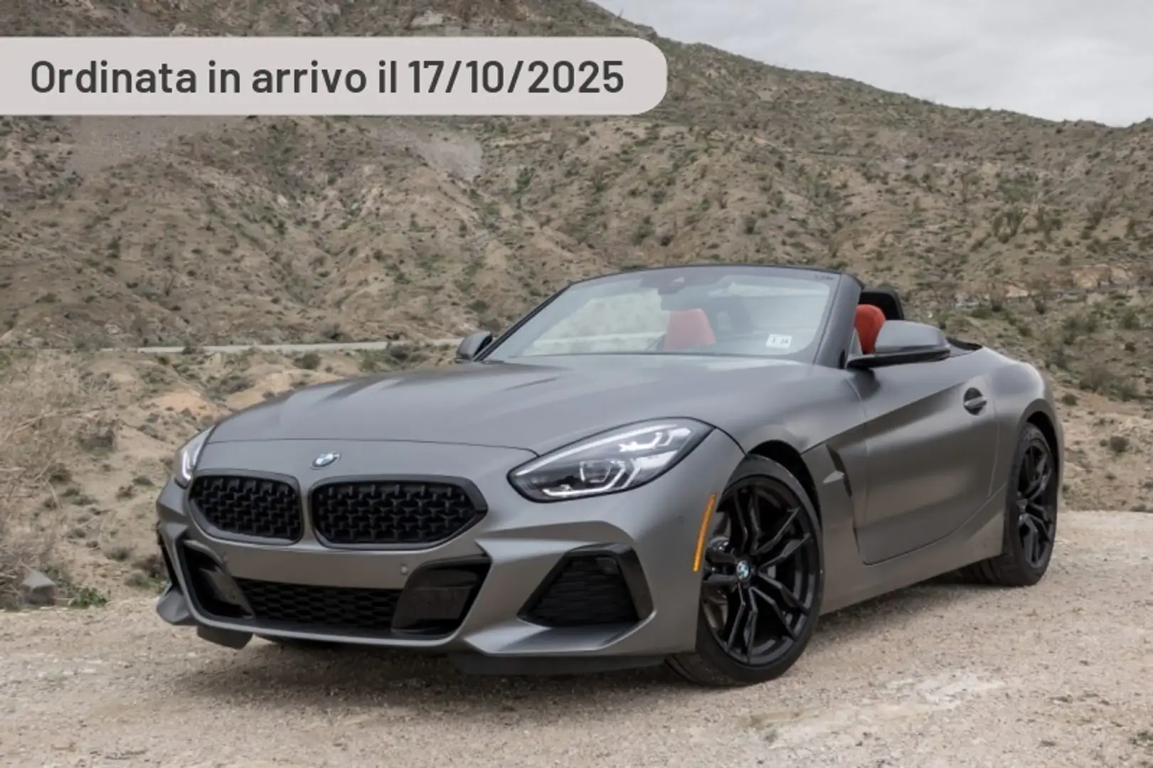 BMW Z4 sDrive30i Argento - 1