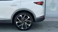 CUPRA Formentor 2,0 TDI Cupra Weiß - thumbnail 15