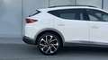 CUPRA Formentor 2,0 TDI Cupra Weiß - thumbnail 8