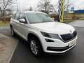 Skoda Kodiaq 2.0 TSI Style 4x4 Blanc - thumbnail 2