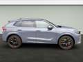 CUPRA Terramar VZ 2.0 TSI DSG 4Drive *NEU & Sofort* Grau - thumbnail 5