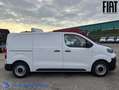 Fiat Scudo Bianco - thumbnail 4