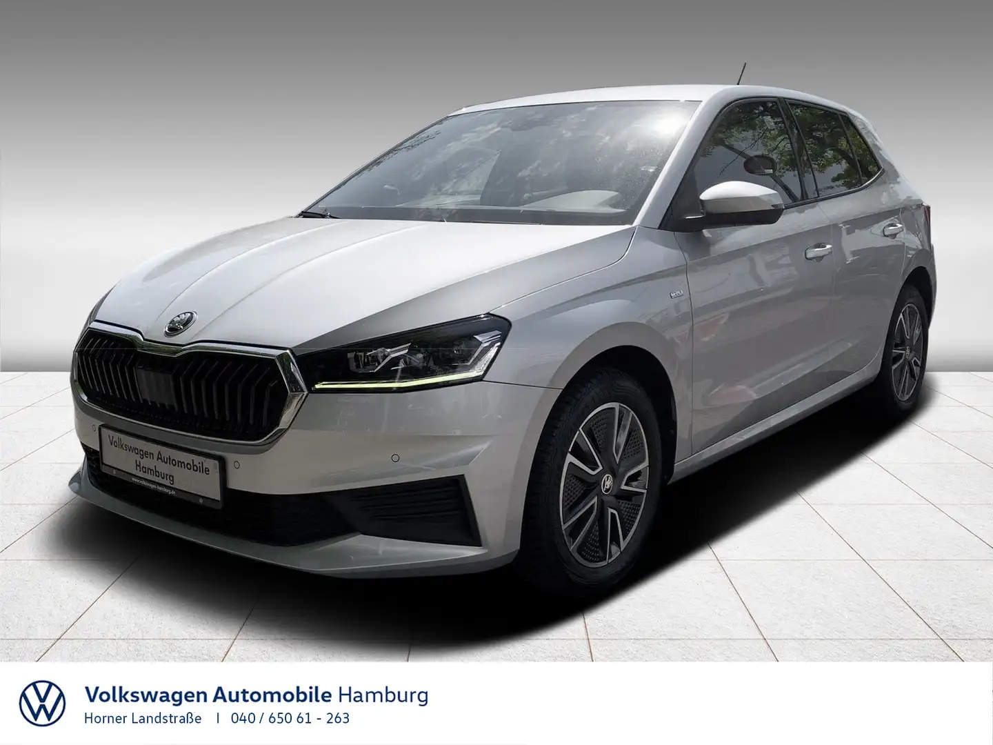 Skoda Fabia Tour 1.0TSIDSG LED Navi Einparkhilfekamera Silber - 1