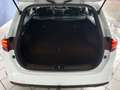 Kia Ceed SW / cee'd SW 2Hd/AHK/Navi/unfallfrei Blanco - thumbnail 21