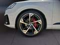 Audi Q7 50 3.0 TDI quattro comeptition plus AHK Pano ACC Wit - thumbnail 7