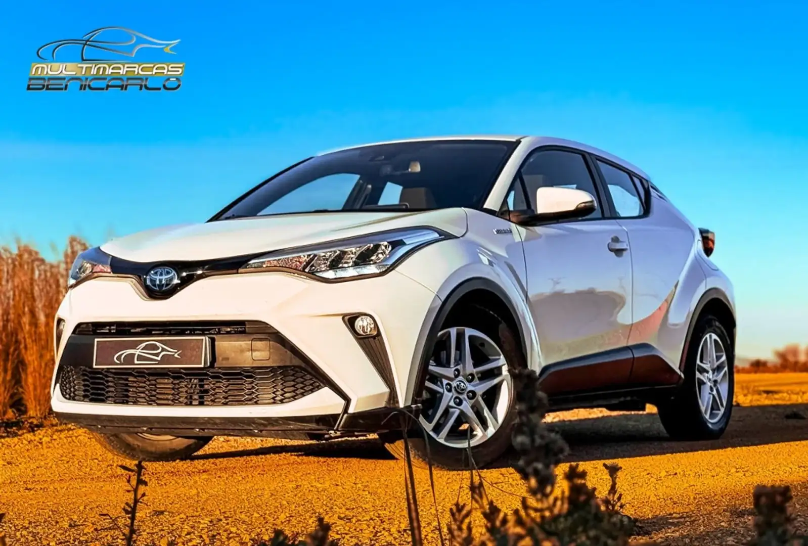 Toyota C-HR 125H Active Blanco - 1