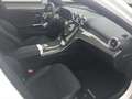 Mercedes-Benz C 200 T AMG*AHK*Disronic*Memory*Kamera*Sitzhzg* Weiß - thumbnail 16