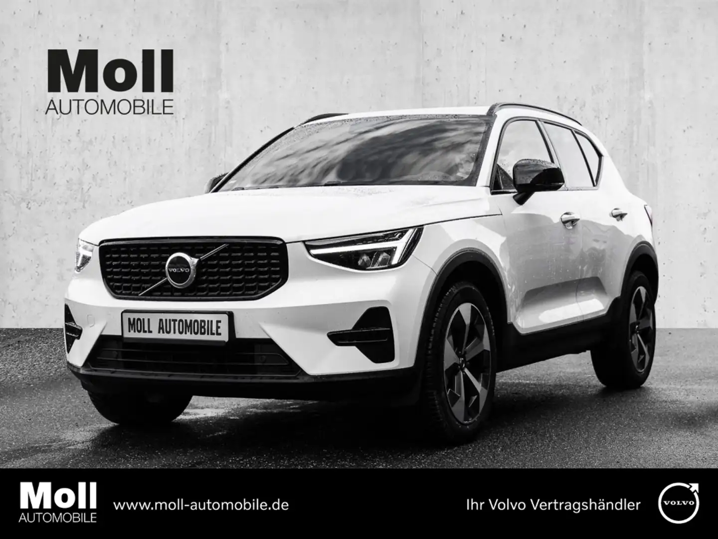 Volvo XC40 Plus Dark 2WD B3 EU6d digitales Cockpit Memory Sit Weiß - 1