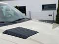 Ford F 150 Raptor SVT 6.2 V8 4x4 Sonderlack/LPG/DE Beige - thumbnail 13