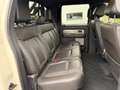 Ford F 150 Raptor SVT 6.2 V8 4x4 Sonderlack/LPG/DE Beige - thumbnail 50