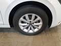 Volkswagen Polo Highline 1.0 TSI BMT DSG 4 Türen Pano*RFK*P Weiß - thumbnail 10