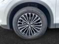 Volkswagen Tiguan 1.5 eTSI OPF DSG Elegance DCC/Matrix/Keyl Weiß - thumbnail 15