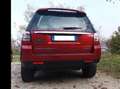 Land Rover Freelander Freelander 2.2 sd4 S 190cv auto Rosso - thumbnail 5
