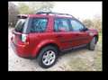 Land Rover Freelander Freelander 2.2 sd4 S 190cv auto Rosso - thumbnail 2