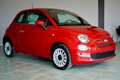 Fiat 500 1.0 hybrid Dolcevita 70cv Rosso - thumbnail 2