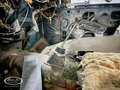 MG MAGNETTE   - ONLINE AUCTION Zwart - thumbnail 40