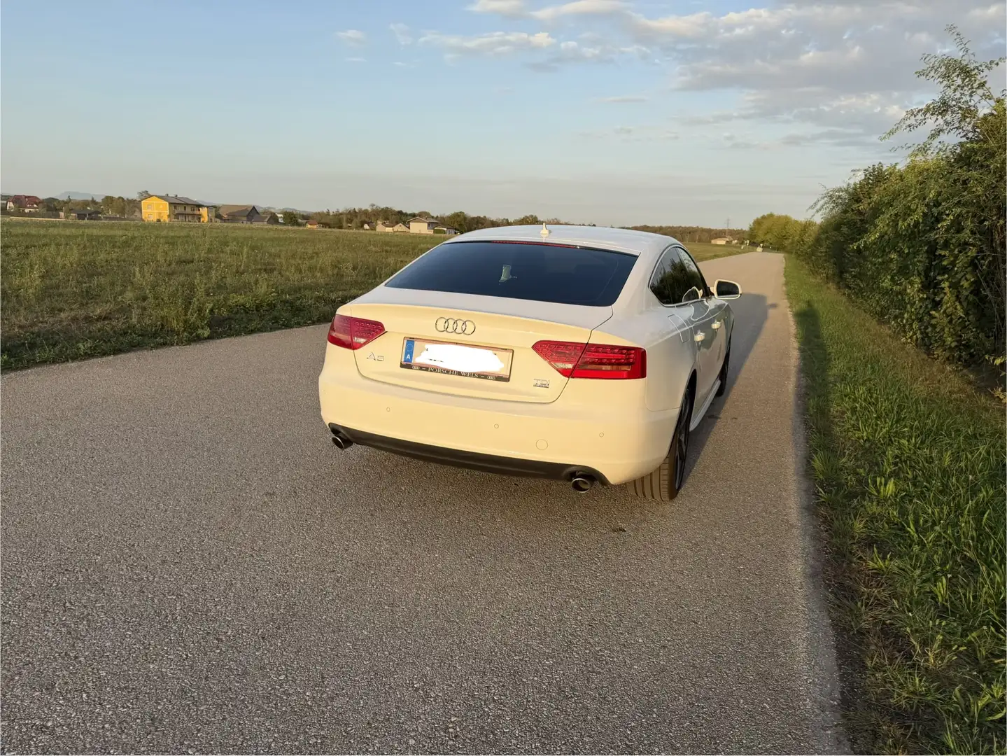 Audi A5 SB 3,0 TDI quattro DPF S-tronic S-Line Weiß - 2