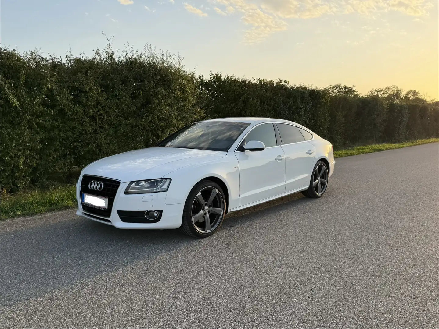 Audi A5 SB 3,0 TDI quattro DPF S-tronic S-Line Weiß - 1