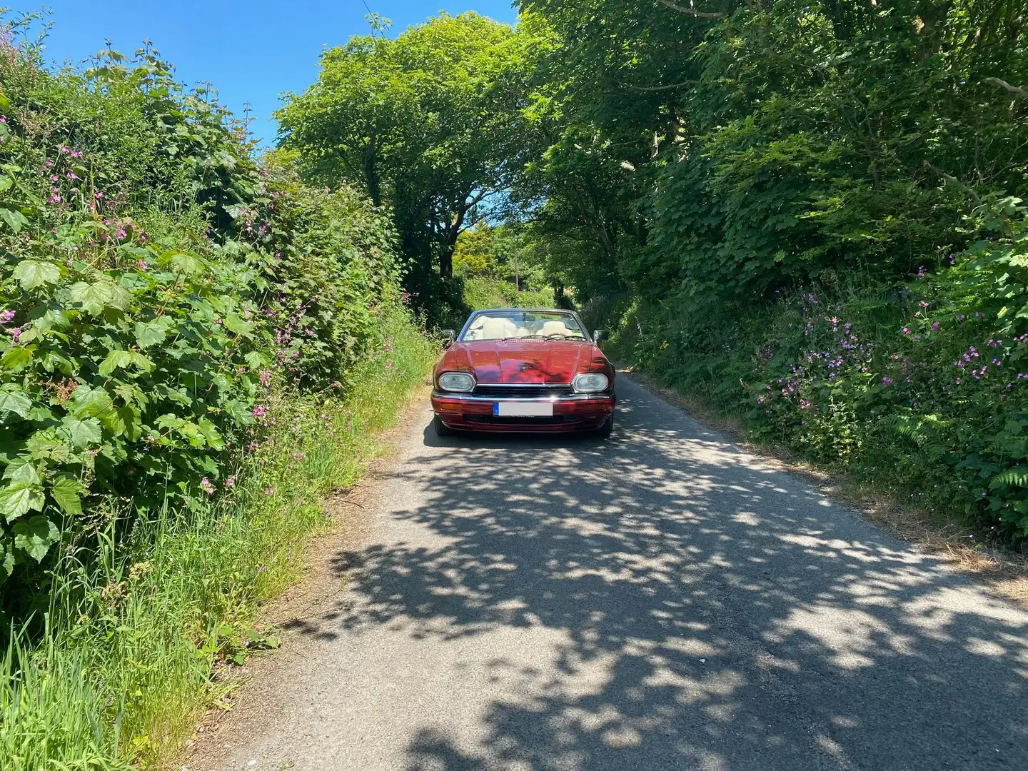 Jaguar XJS XJS 4.0 Roşu - 2