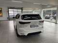 Mazda CX-60 3.3 254PS Homura Plus Pano 360° Matrix-Led Weiß - thumbnail 22