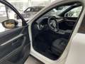Mazda CX-60 3.3 254PS Homura Plus Pano 360° Matrix-Led Weiß - thumbnail 4