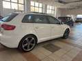 Audi A3 A3 II 2008  Sportback 2.0 tdi Ambition quattro Weiß - thumbnail 16