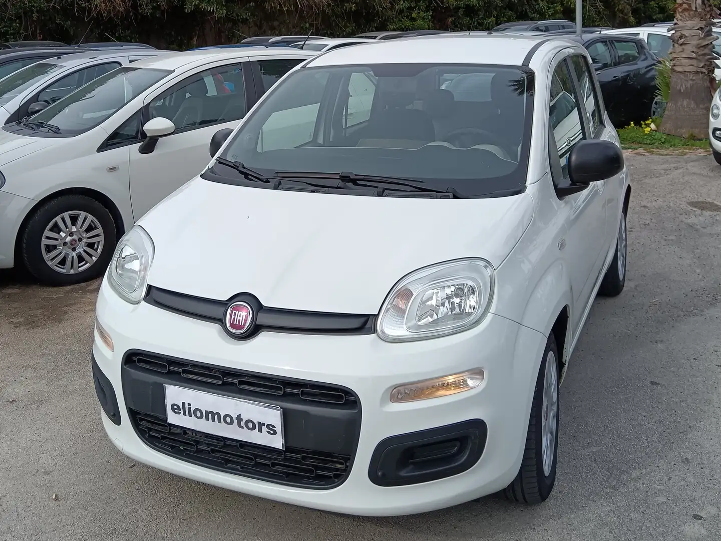 Fiat Panda Panda 1.3 mjt 16v Easy s Bianco - 2