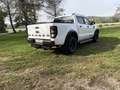 Ford Ranger Doppelkabine Wildtrak 4x4 2,0 EcoBlue Aut. - thumbnail 10