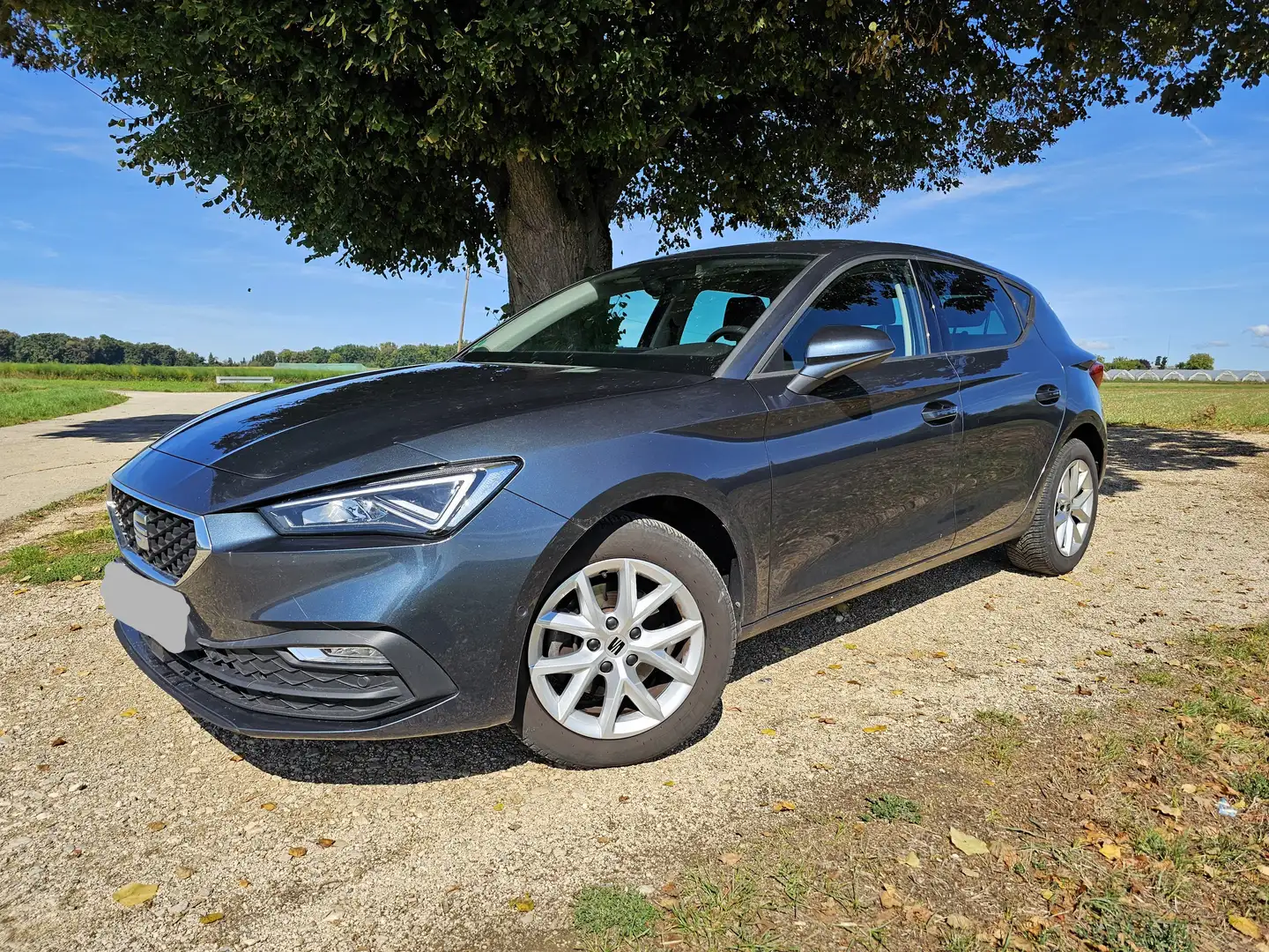 SEAT Leon Style 1.5 TSI LED Navi ACC VCockpit Kamera Grau - 1