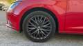 SEAT Leon 1.6 TDI 110 PS S/S STYLE 110 5P Rojo - thumbnail 10