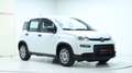 Fiat Panda 4x2 FireFly Hybrid 70 Weiß - thumbnail 10
