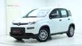 Fiat Panda 4x2 FireFly Hybrid 70 Weiß - thumbnail 1