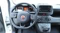 Fiat Panda 4x2 FireFly Hybrid 70 Blanc - thumbnail 15