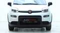 Fiat Panda 4x2 FireFly Hybrid 70 Weiß - thumbnail 12